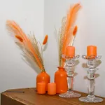 Orange House